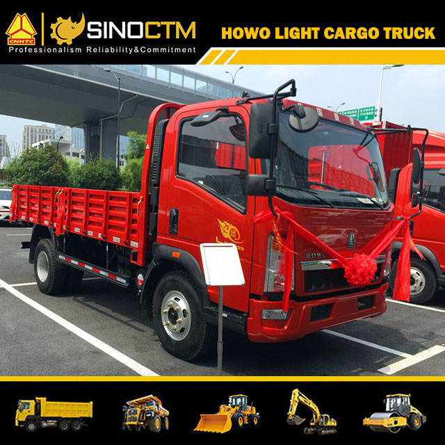 SINOTRUK HOWO 4X2 Cargo Truck 