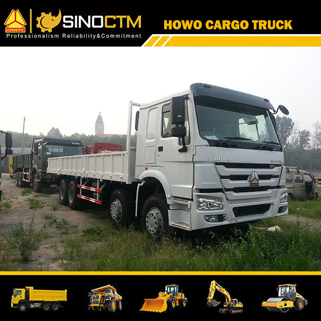 SINOTRUK HOWO 8X4 Cargo Truck 25ft