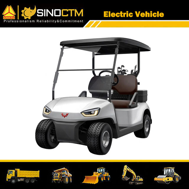 Electric Golf Cart (2 Sets)