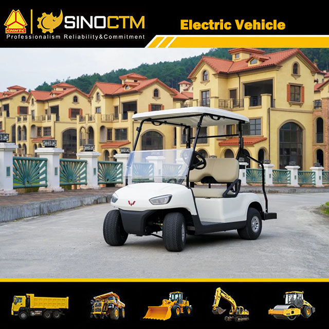 Electric Golf Cart (2 Sets)