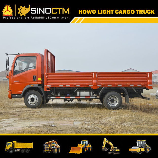 SINOTRUK HOWO 4X2 Cargo Truck 