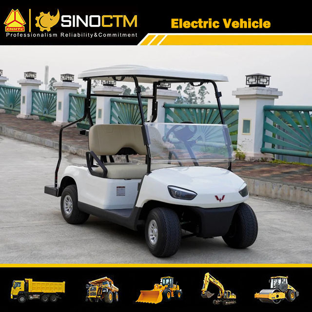 Electric Golf Cart (2 Sets)