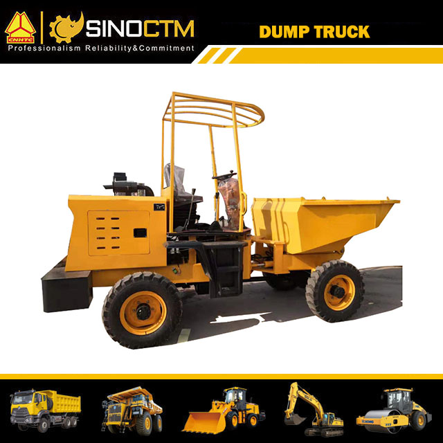 Small Simple Carrying Dump Truck